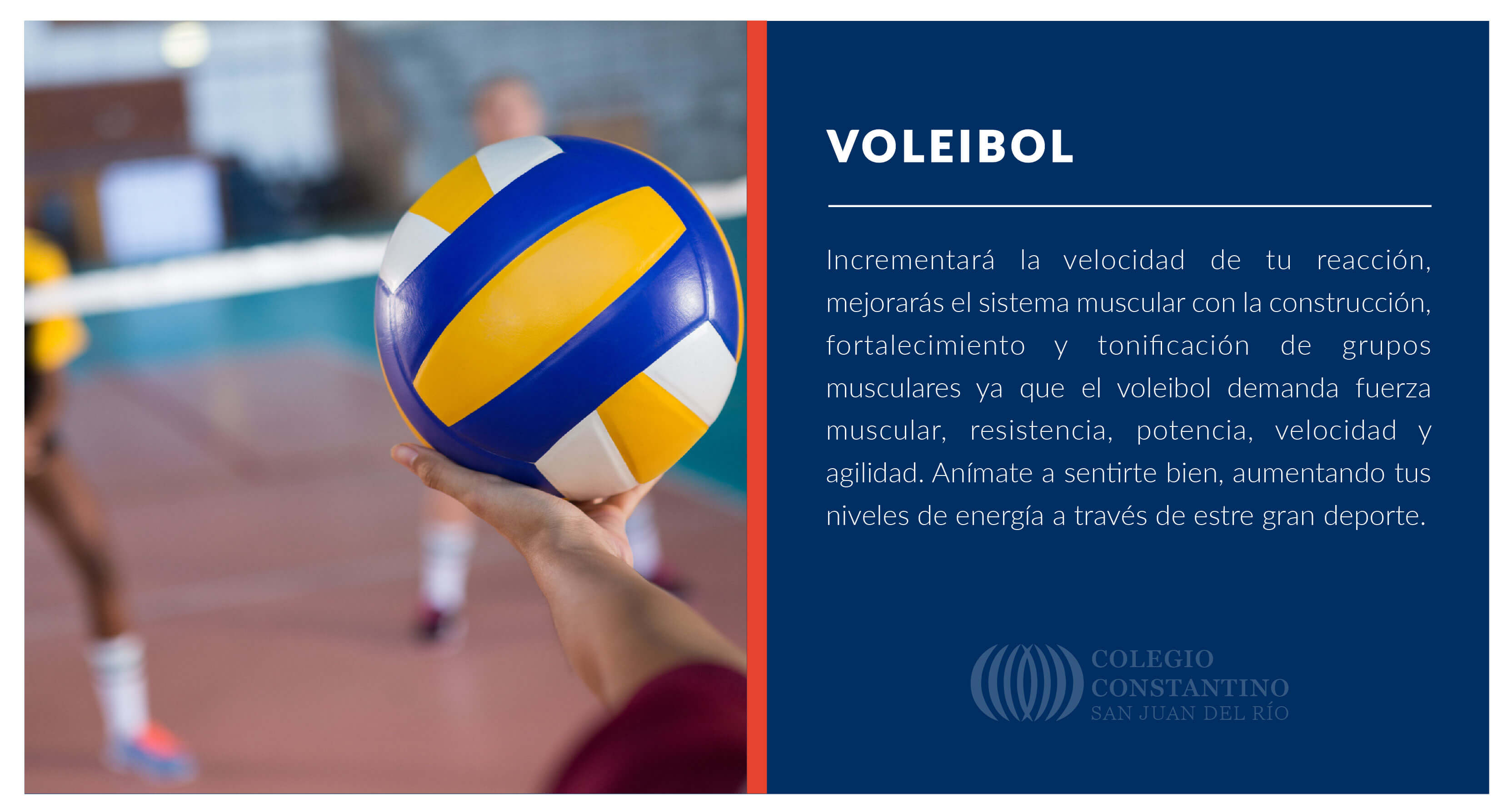 VOLEIBOL